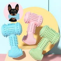 Indestructible TPR Dog Chew Toy for Teeth Cleaning & Dental Care, Paws and Whiskers