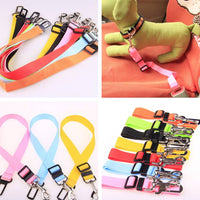 Fixed Polyester Dog Leash Strap for Strong & Safe Walking Control, Paws and Whiskers