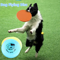 Silicone Flying Saucer Dog & Cat Toy for Interactive Training Play, Paws and Whiskers